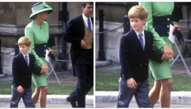 9 Times Princess Diana Broke Royal Parenting Rules